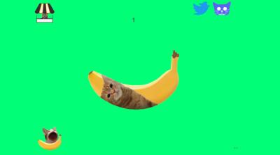 Screenshot of Banana Cat