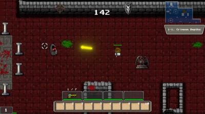 Screenshot of Dungeon Gunner