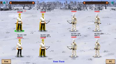 Screenshot of Fantasy Fighters