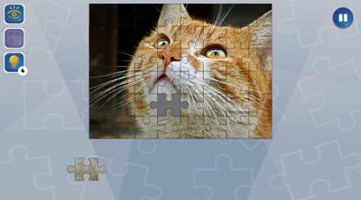 Capture d'écran de Jigsaw Puzzle Fever