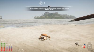 Screenshot of Lost In Tropics