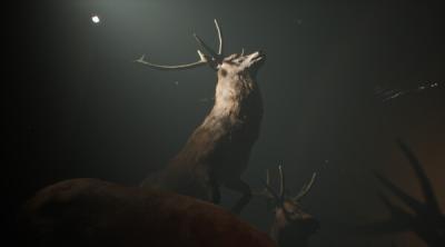 Screenshot of Project 13: Taxidermy