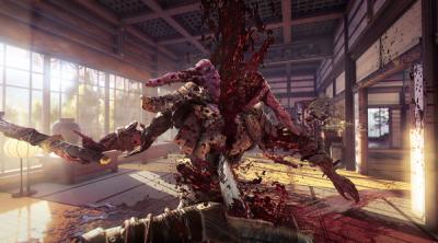 Capture d'écran de Shadow Warrior 2