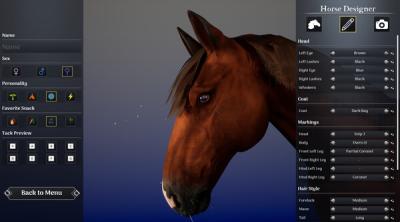 Screenshot of Unbridled: Horse Designer