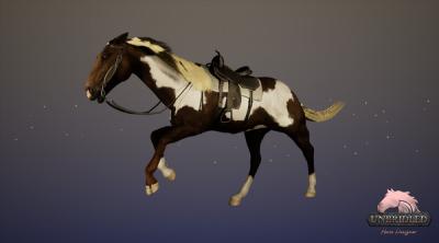 Screenshot of Unbridled: Horse Designer