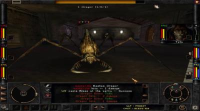 Screenshot of Wizardry 8